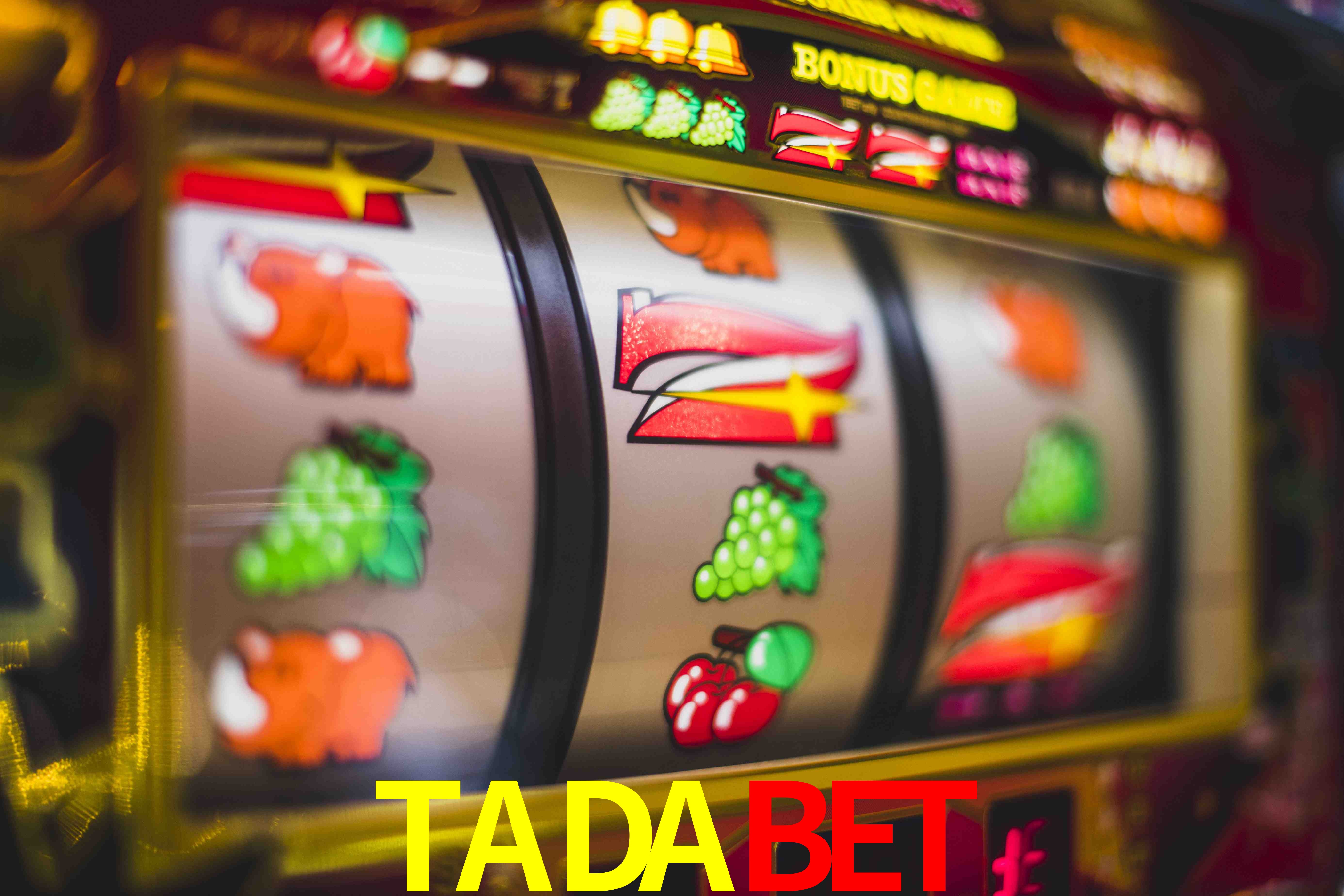Experiência VIP TADABET